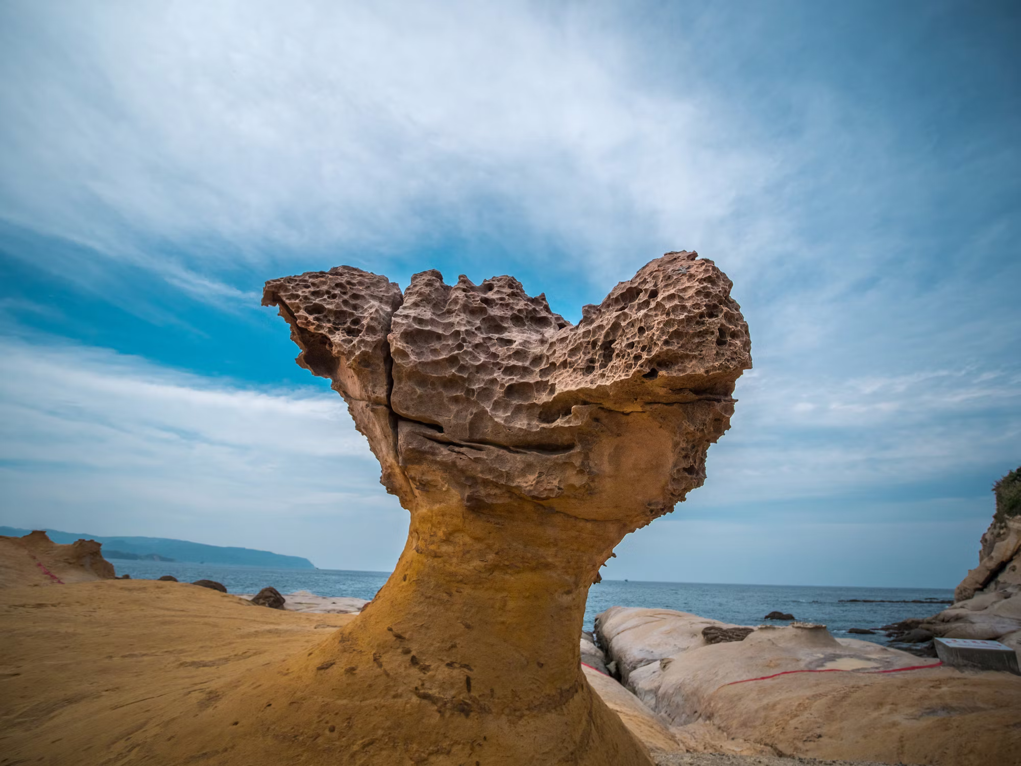 The Art of Culinary Exploration: A Journey Through Global Flavors